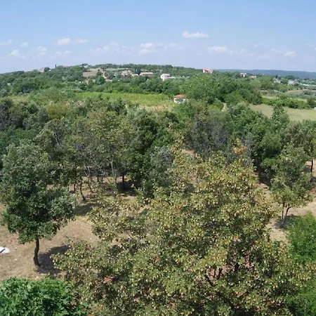 In Mit Grill, Garten Und Terrasse Apartment Rakalj